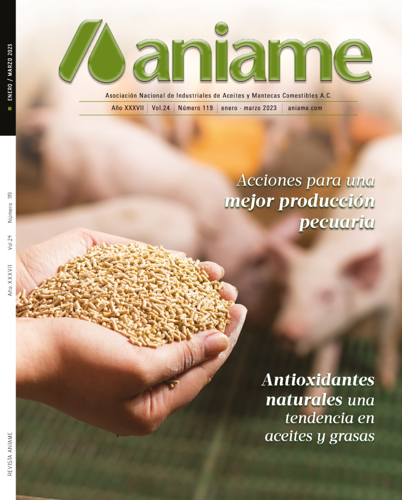 Revista 119 | ANIAME