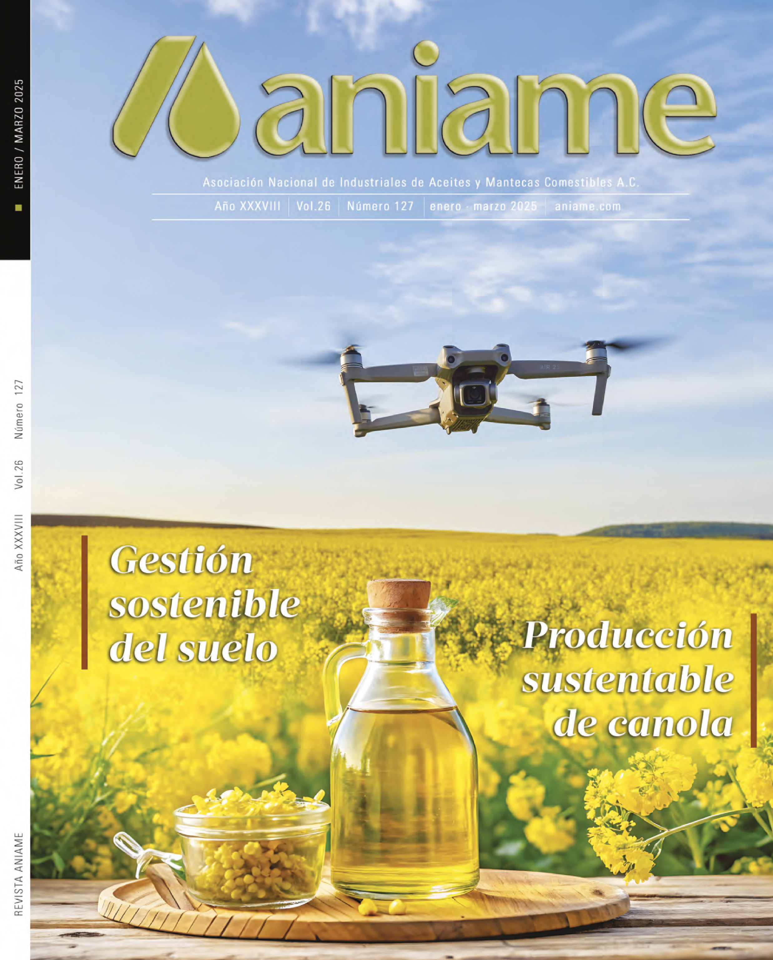 Revista 127 | ANIAME